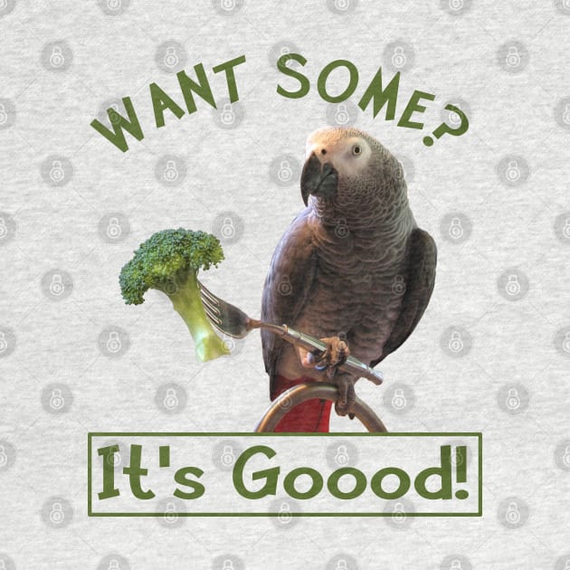 African Grey Parrot Broccoli by Einstein Parrot